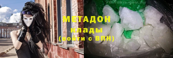 прущие грибы Абаза