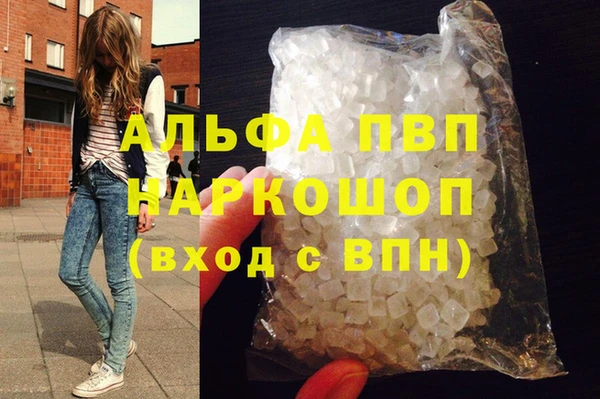 прущие грибы Абаза