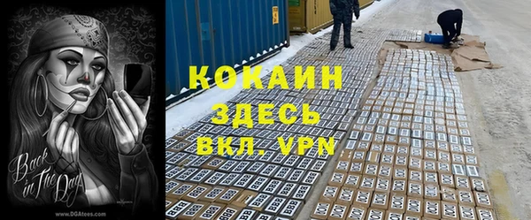 прущие грибы Абаза