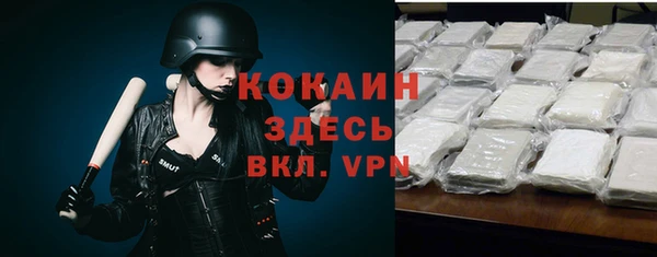 молекула духа Снежинск