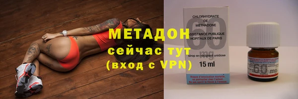 прущие грибы Абаза