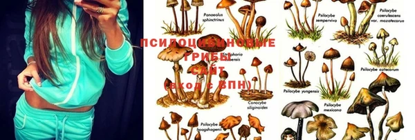 амф Абдулино