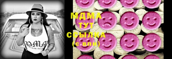 индика Слюдянка